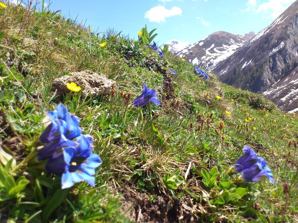 Bailom * Elbigenalp
